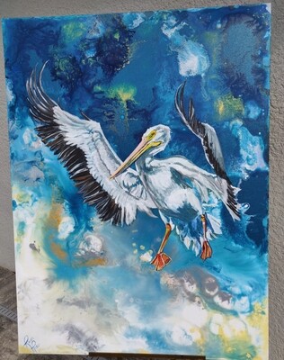 Pelican Solitude