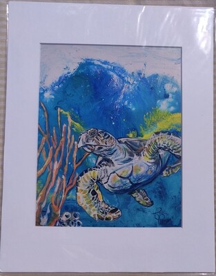 Solo Hawksbill Matted Print