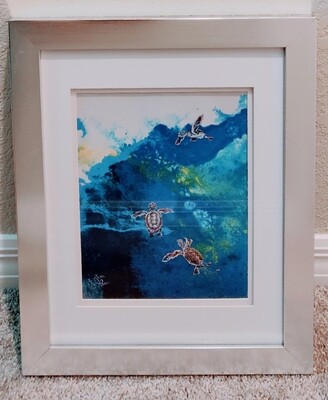 Hatchlings Swimming framed picture