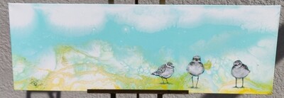 Three Little Birds on my Seashore