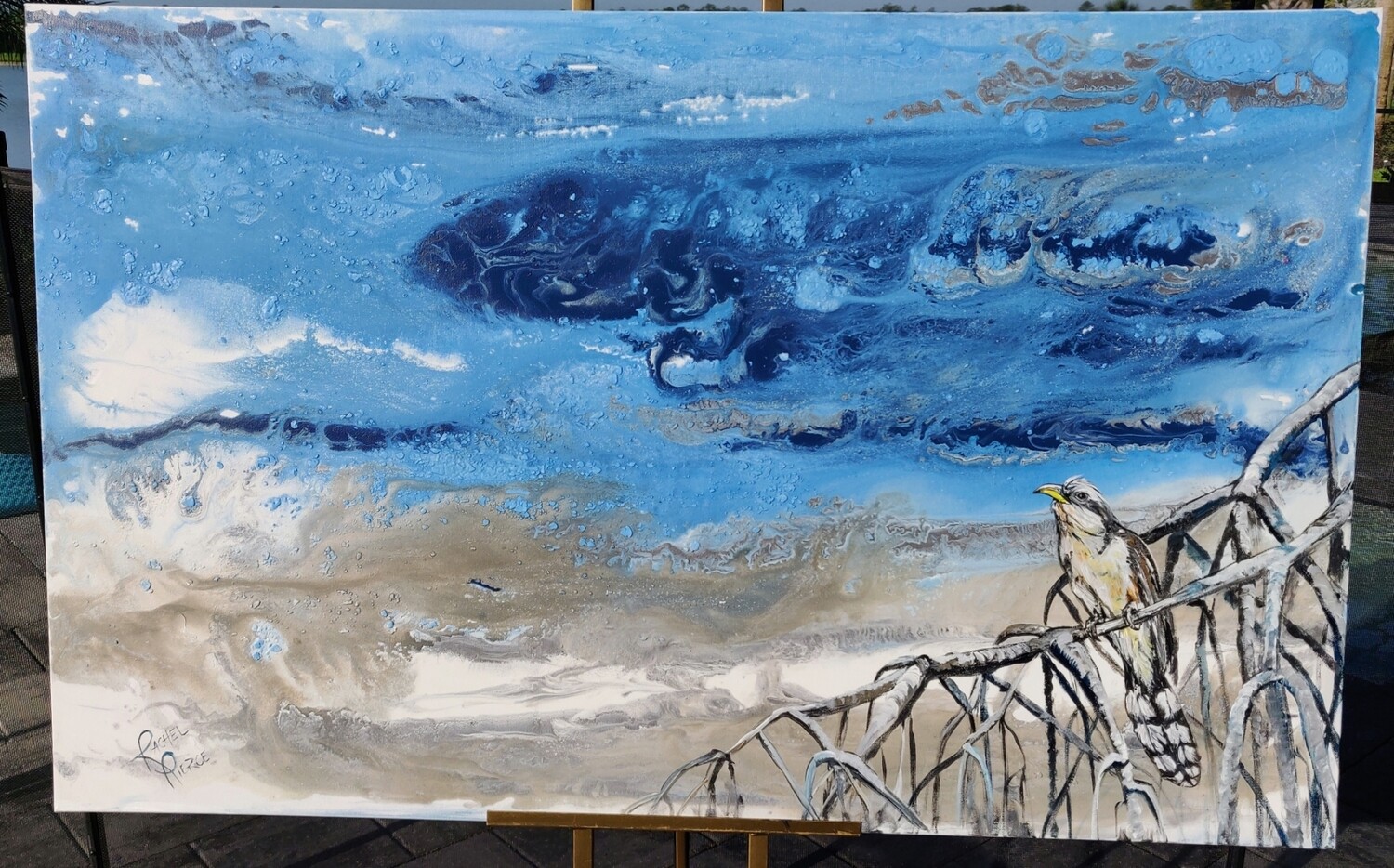 Mangrove Cuckoo Mangrove Cuckoo