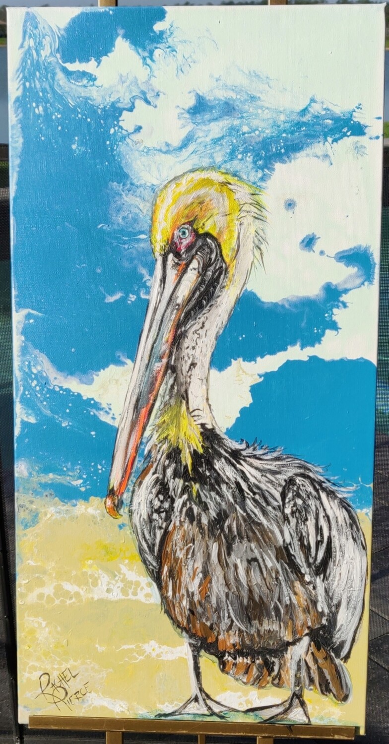 &quot;Ding Brown Pelican&quot; 2
