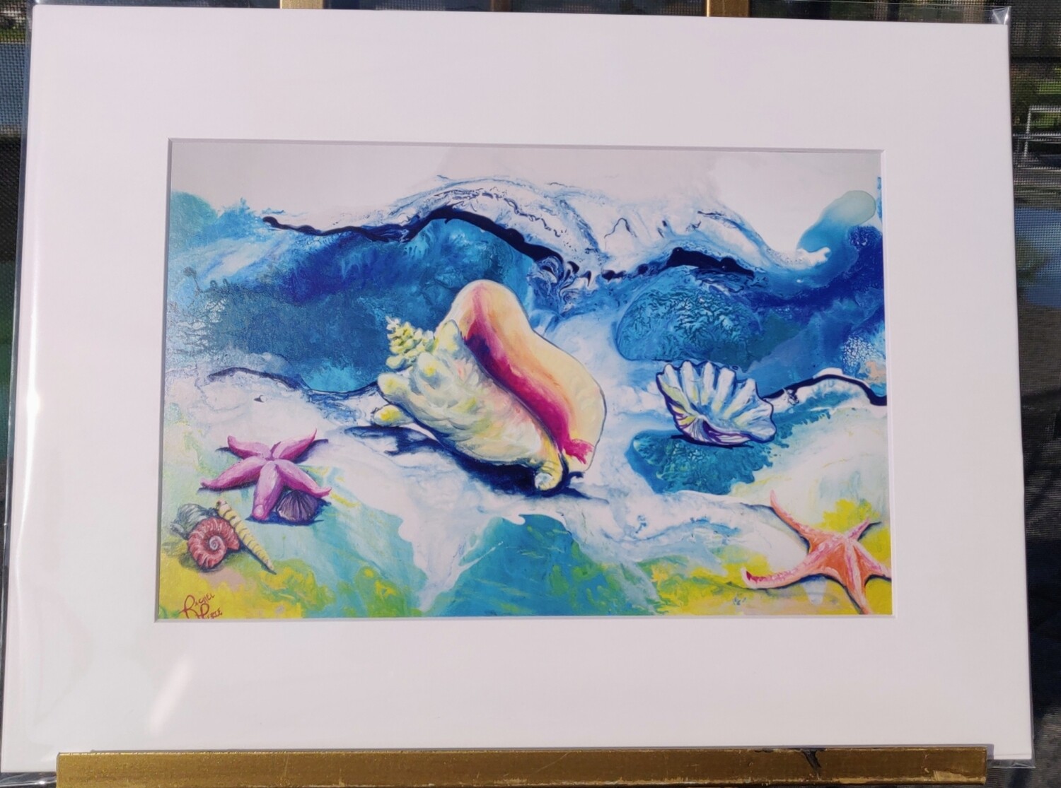 Shells on the shore Matted Print