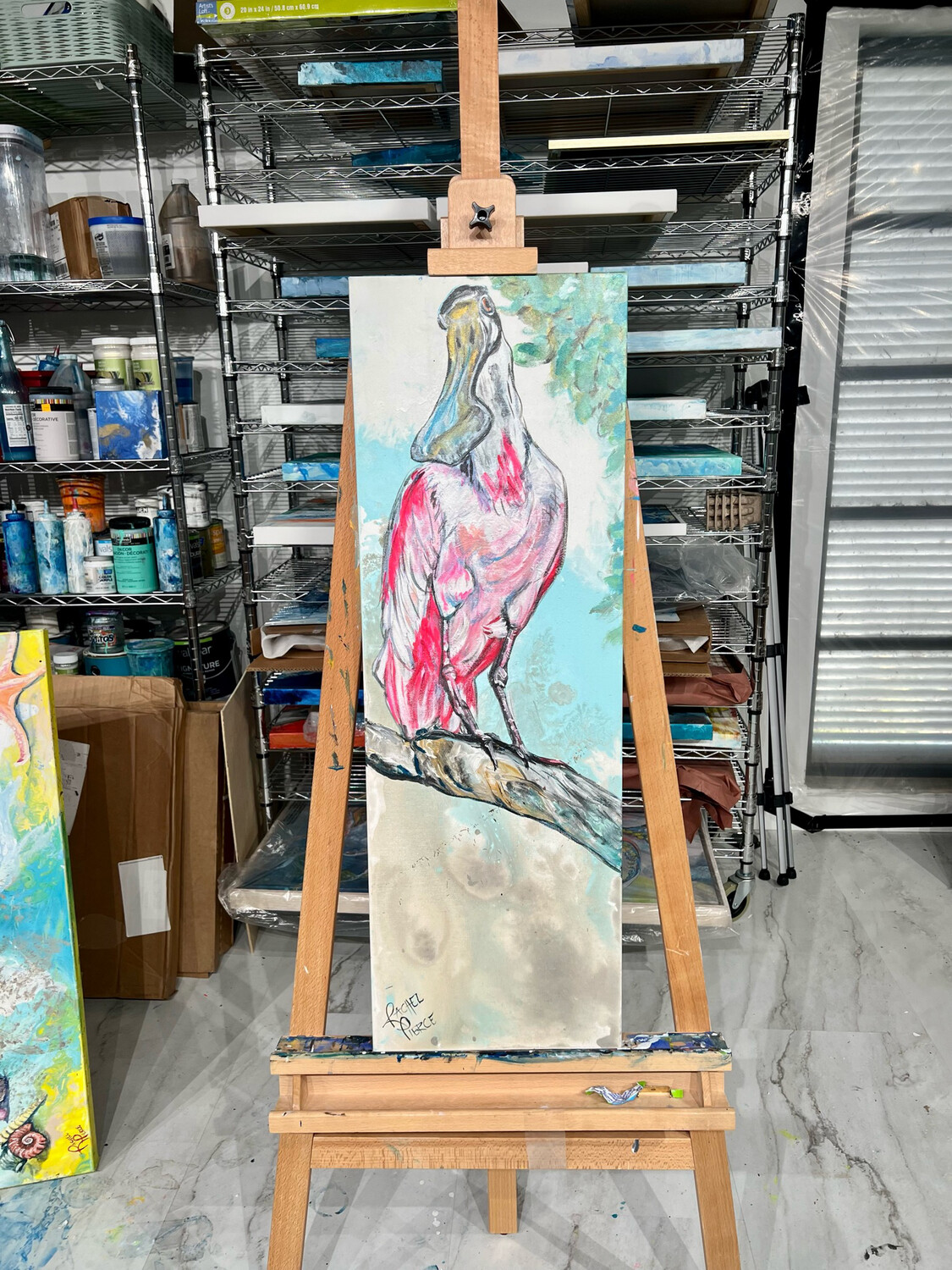 Up in a Tree Spoonbill
