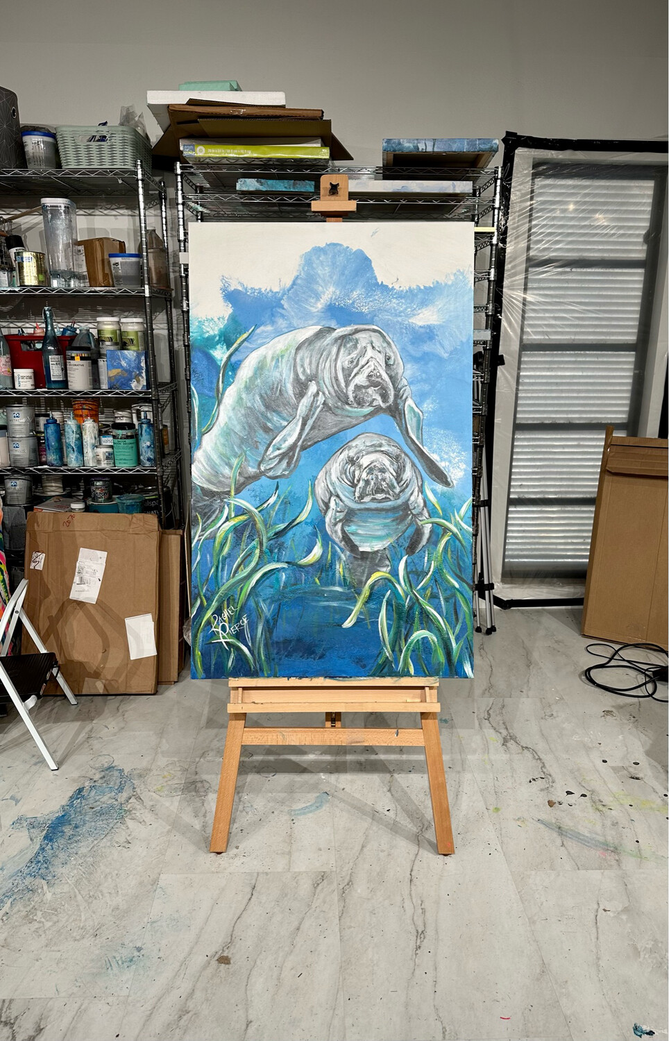 Sanibel Manatees