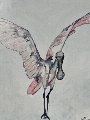 Spoonbill Line Art