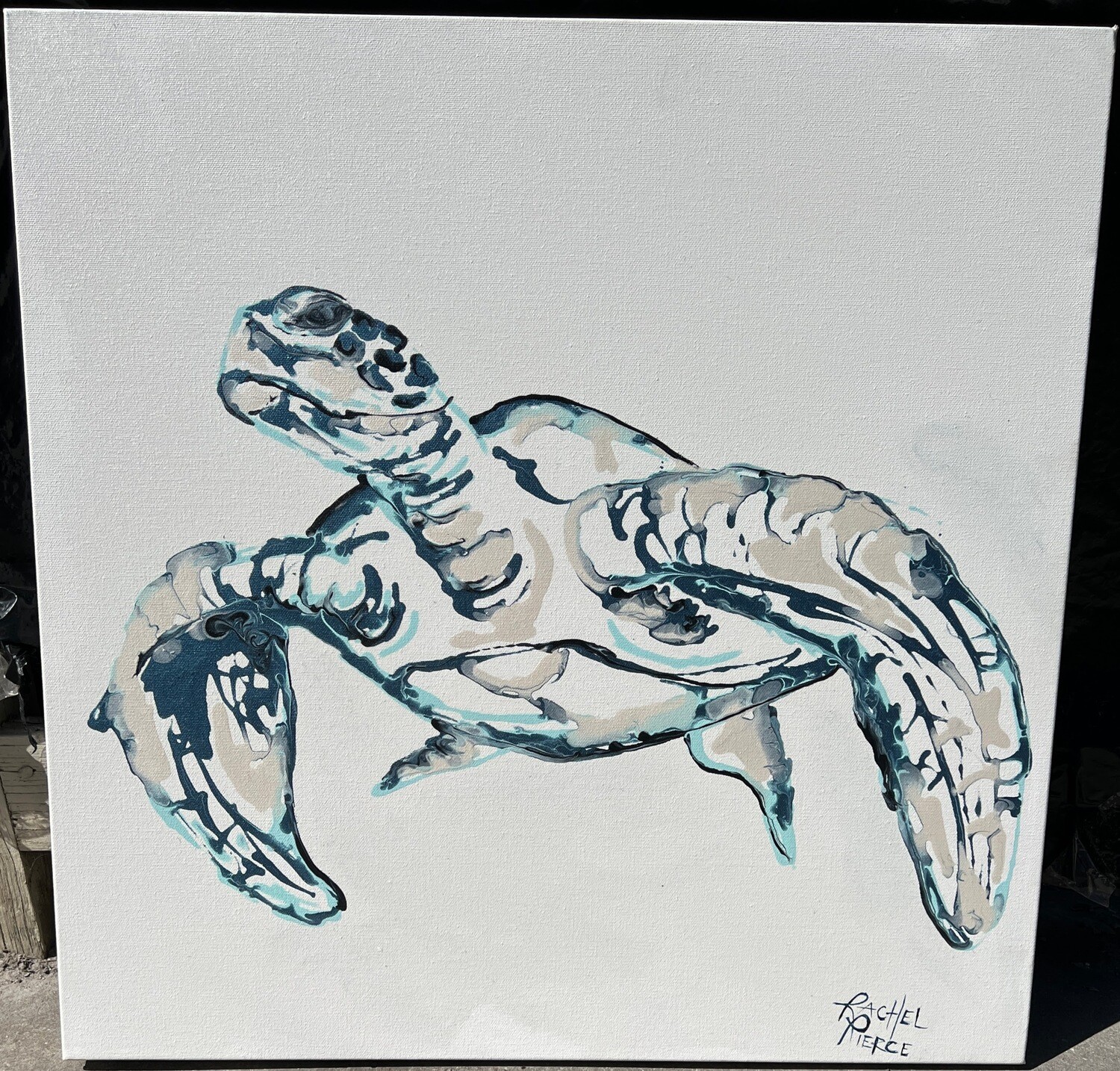 Sea Turtle Line Art