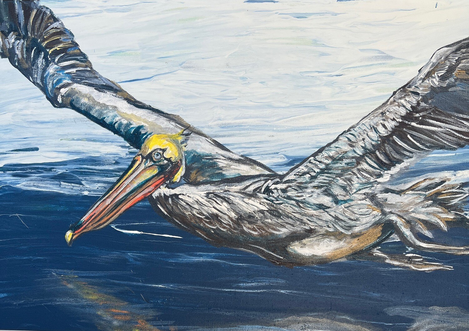 SanCap Gliding Brown Pelican