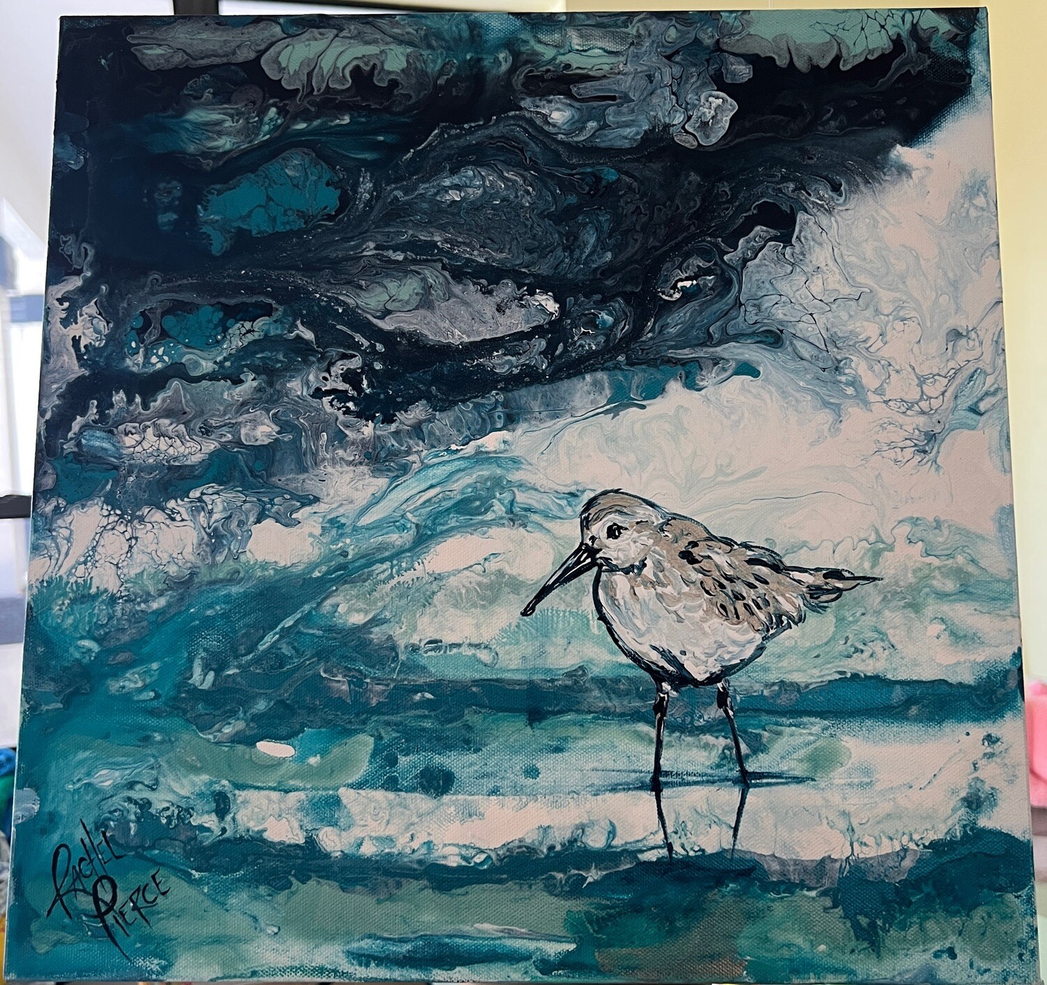 Stormy Shorebird