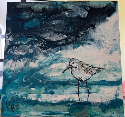 Stormy Shorebird