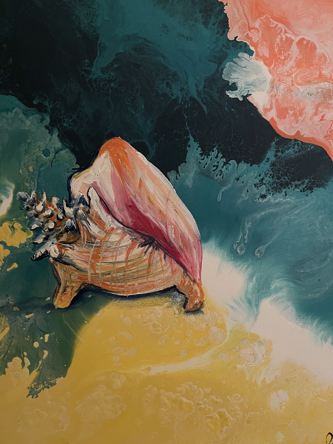 Single Coral Conch