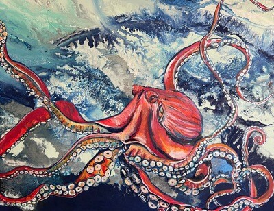 Bailey&#39;s Shell Museum Octopus