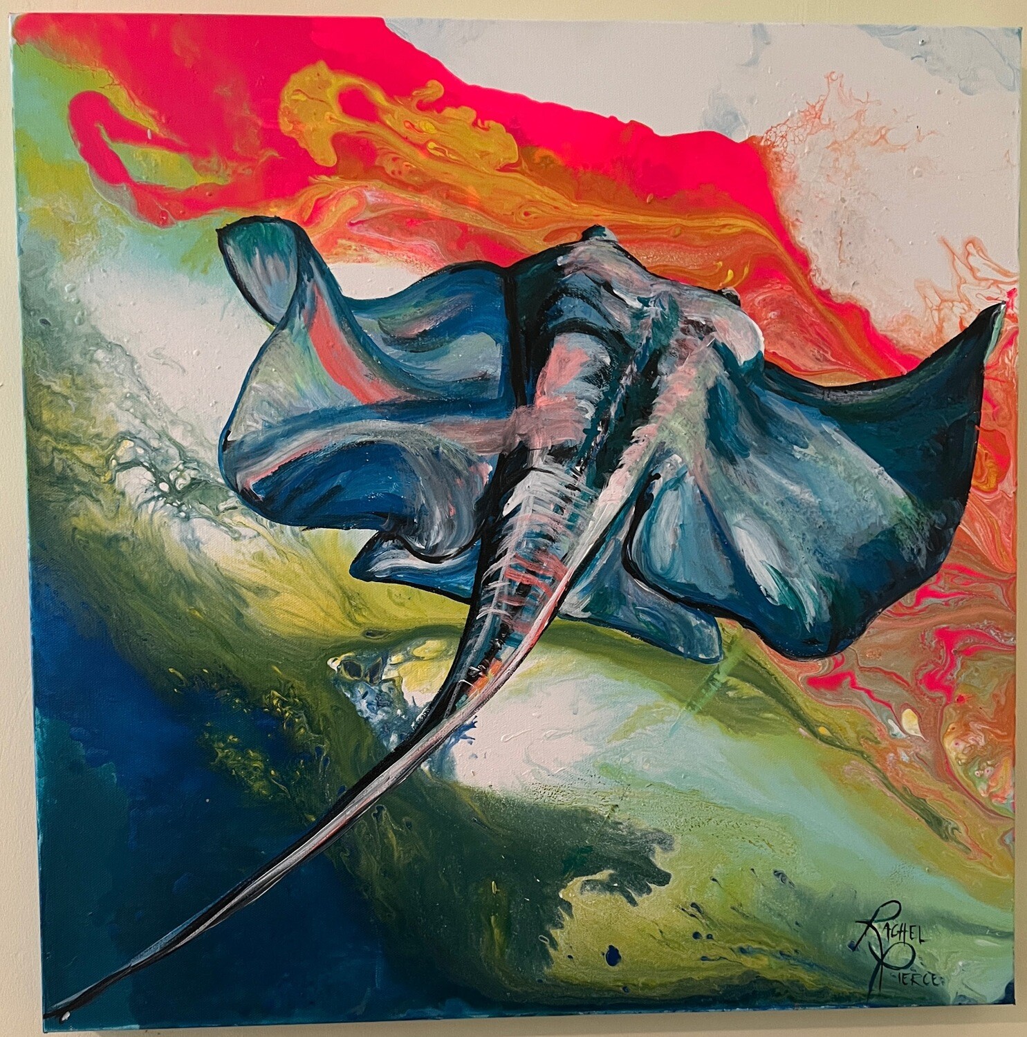 Single Rainbow Stingray