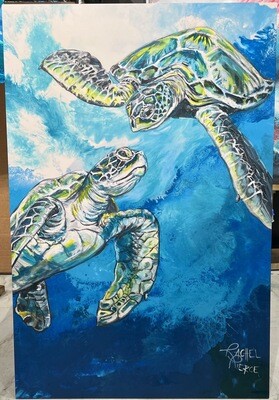 Upper Captiva Sea Turtles 24x36 Metal Print