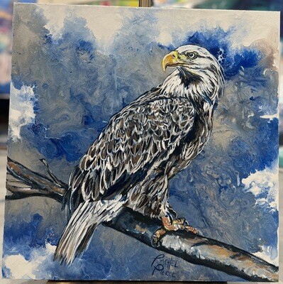 Sanibel Eagle