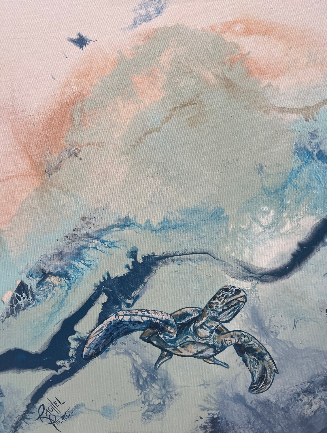 Pastel Turtle 1