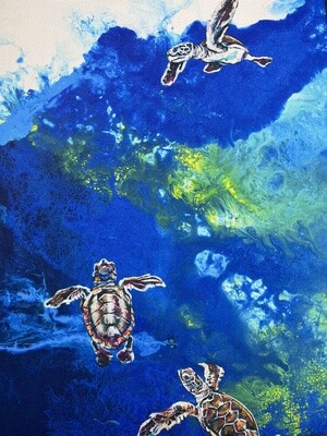 Hatchlings Swimming 16x20 Canvas Print