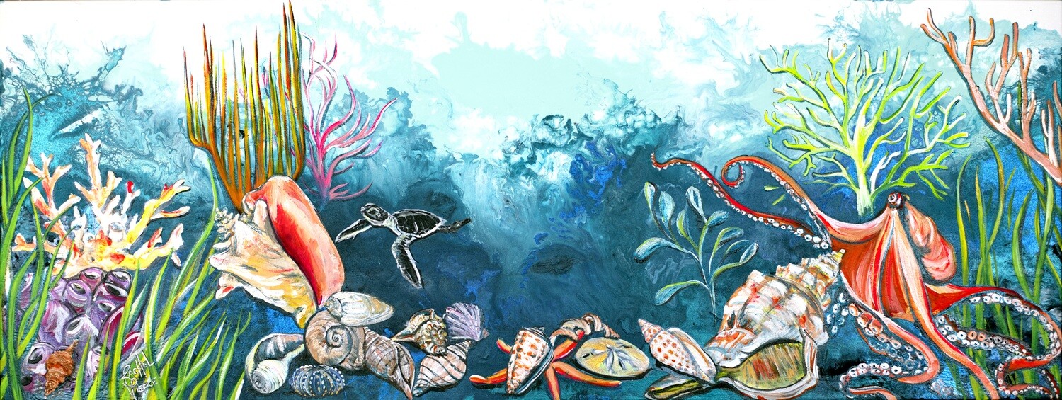 Shell Museum Original