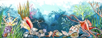 Shell Museum Original