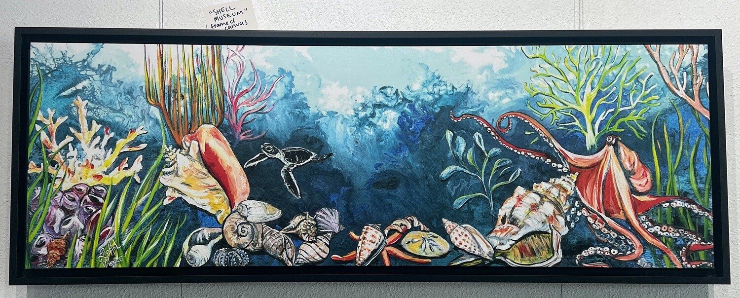 Shell Museum 37x13 Black Framed Canvas Print