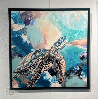 Turtle Out to Sea 32x32 Framed Canvas Print