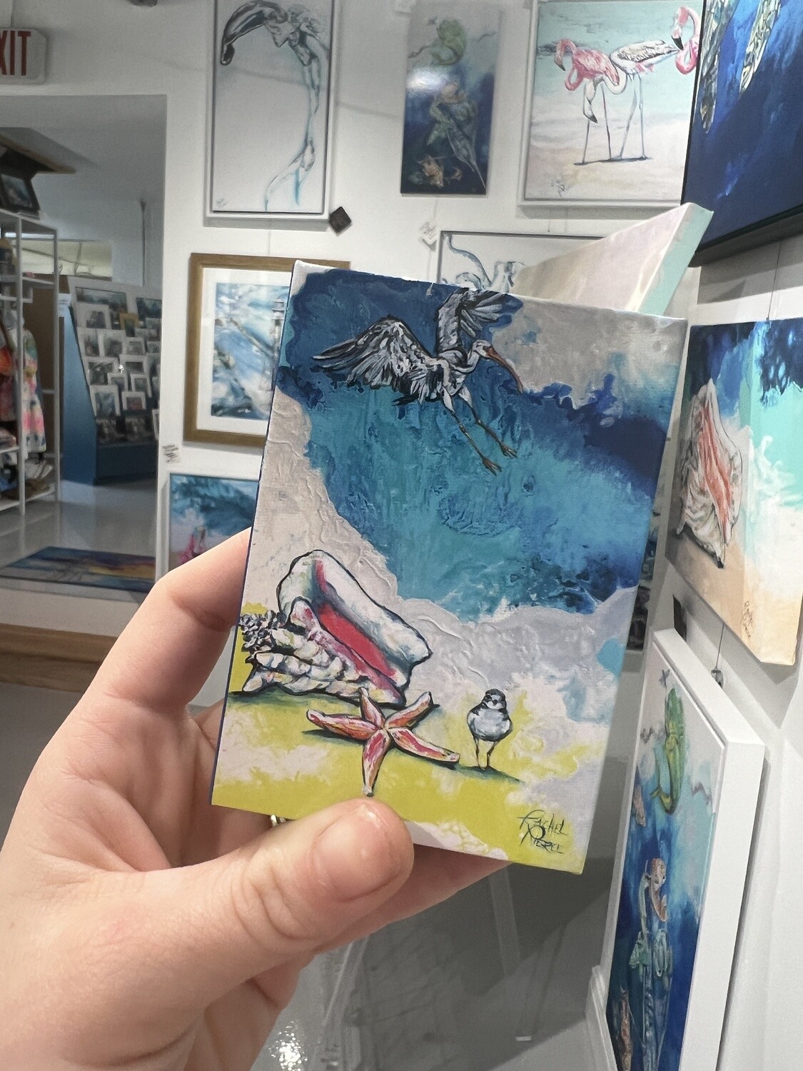 Four Beach Treasures Playing Cards Four Beach Treasures Playing Cards