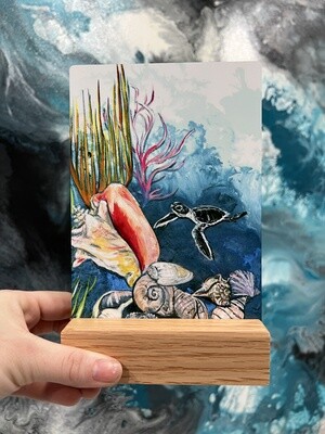 Shell Museum Hatchling Mini Metal Print