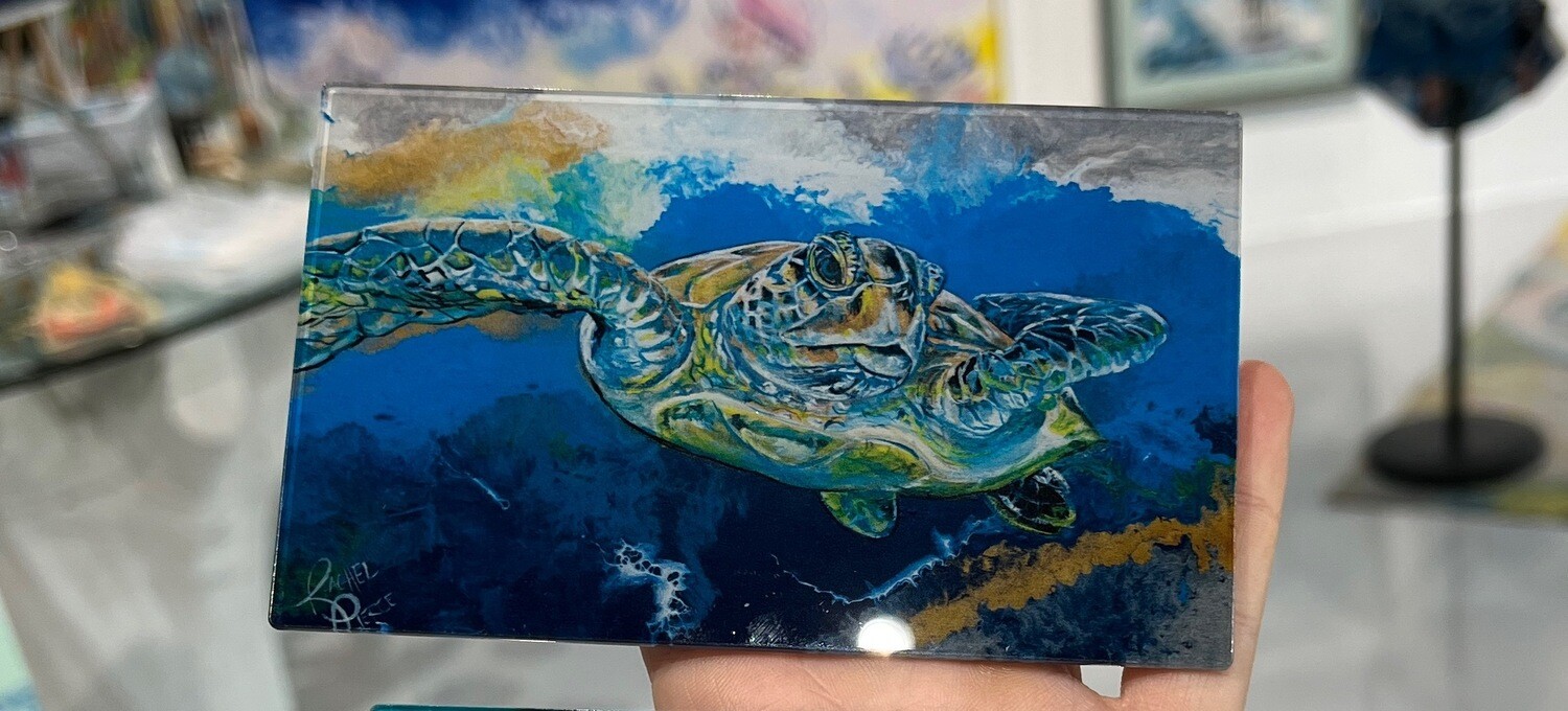Sea Turtle Magnet Sea Turtle Magnet