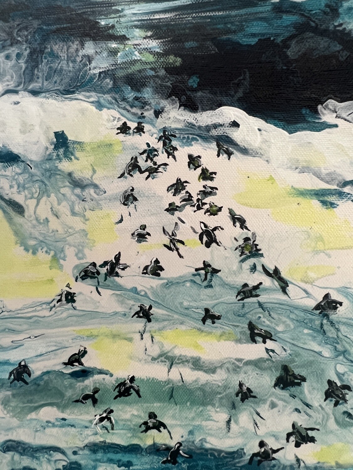 Hatchlings Find Home Original
