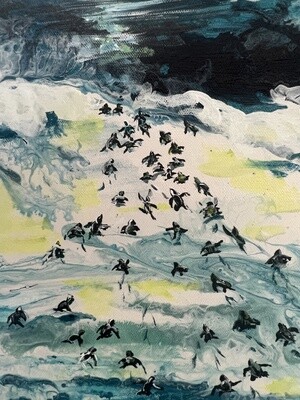 Hatchlings Find Home Original