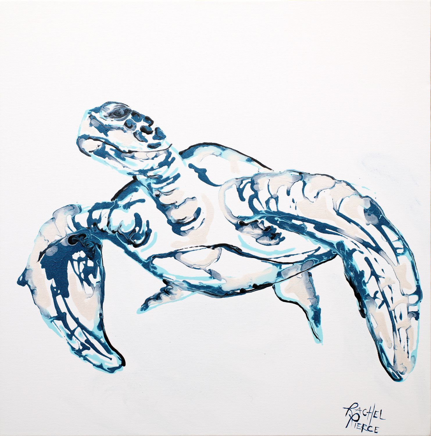 Sea Turtle Lines Paper Print