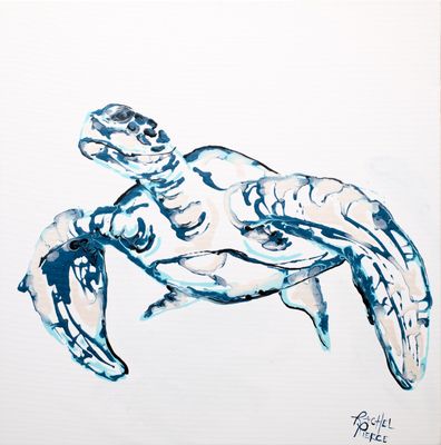 Sea Turtle Lines Paper Print