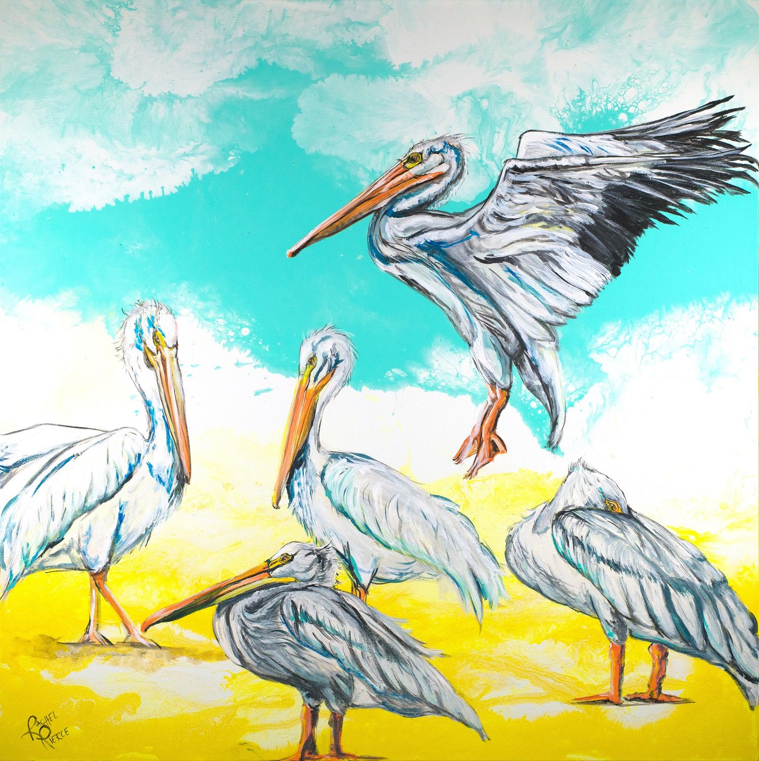 Ding Pelicans Framed Canvas Print