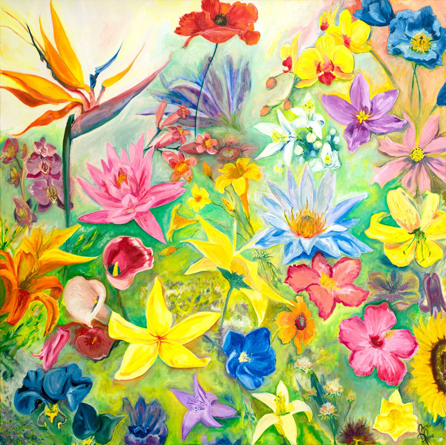 Florida Flowers Canvas Print