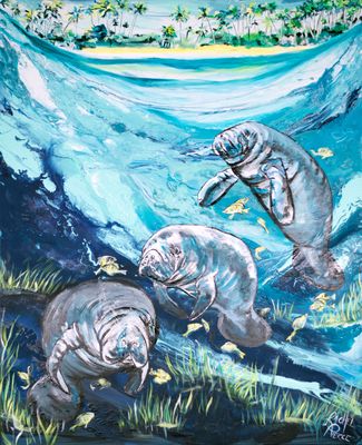 Gulf Side Manatees Original