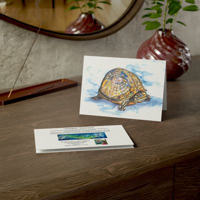 Sanibel Tortoise Greeting Card