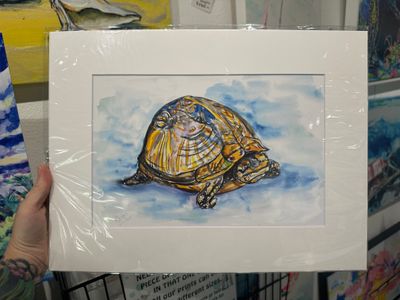 Sanibel Gopher Tortoise Watercolor Matted Print