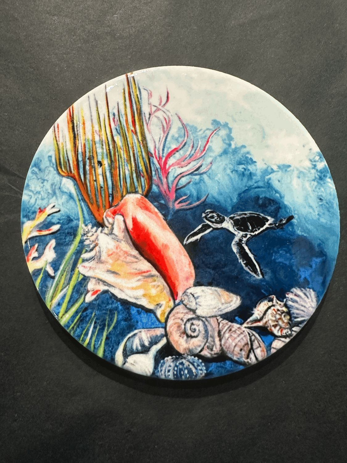 Shell Museum Hatchling Ceramic Coaster