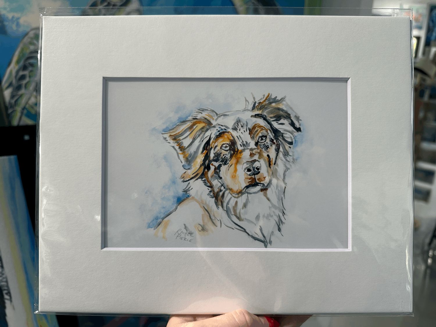 Australian Shepherd Matted Print