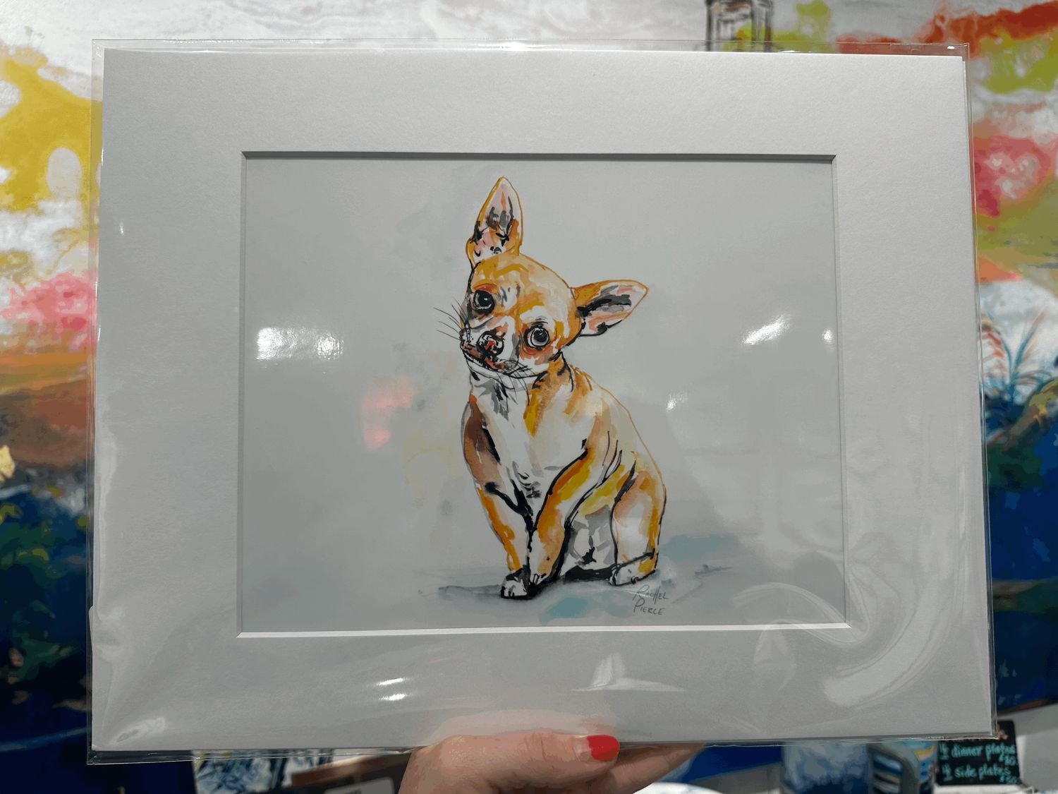Sitting Chihuahua Matted Print