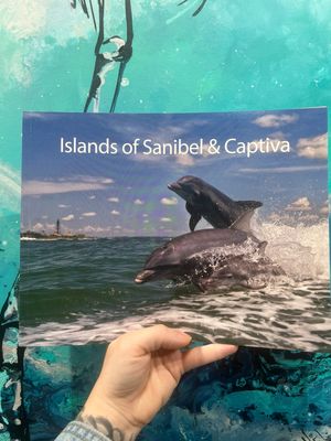 Islands Of Sanibel & Captiva Islands Of Sanibel & Captiva