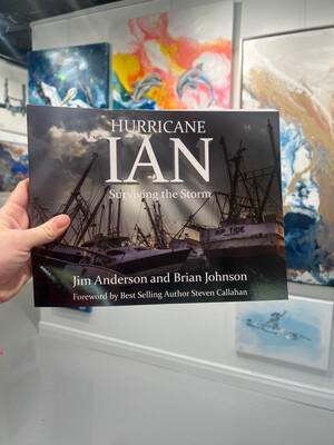 Hurricane Ian: Surviving The Storm