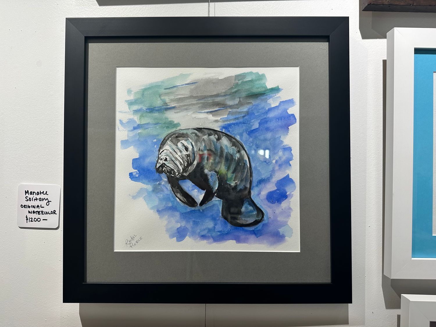 Manatee Solitary Original Watercolor