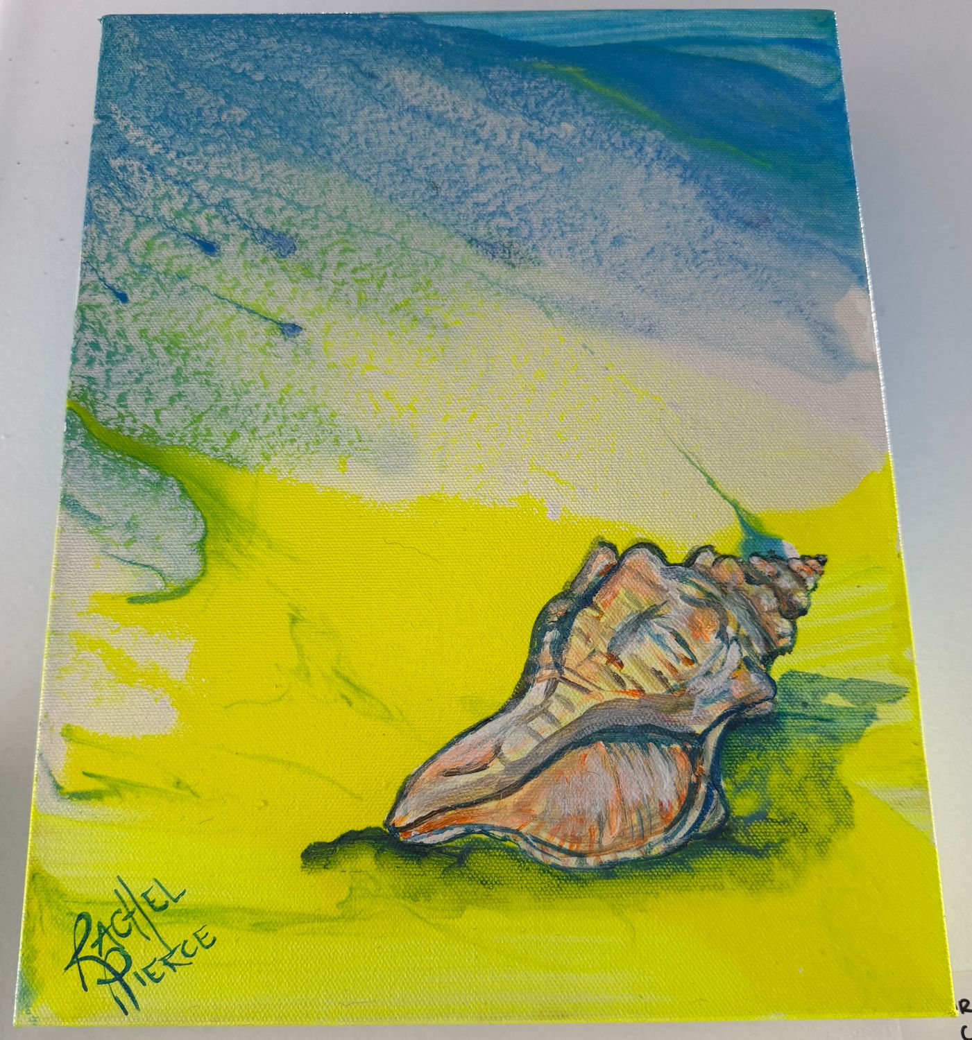 Horse Conch at Home Original