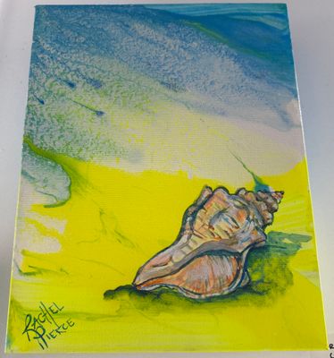 Horse Conch at Home Original