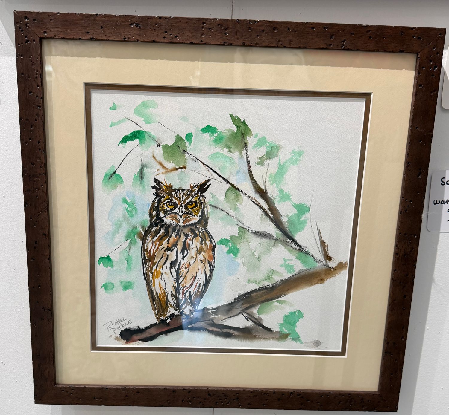 Screech Owl Original Watercolor