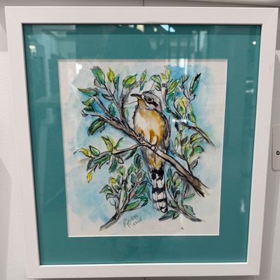 Mangrove Cuckoo Original Watercolor