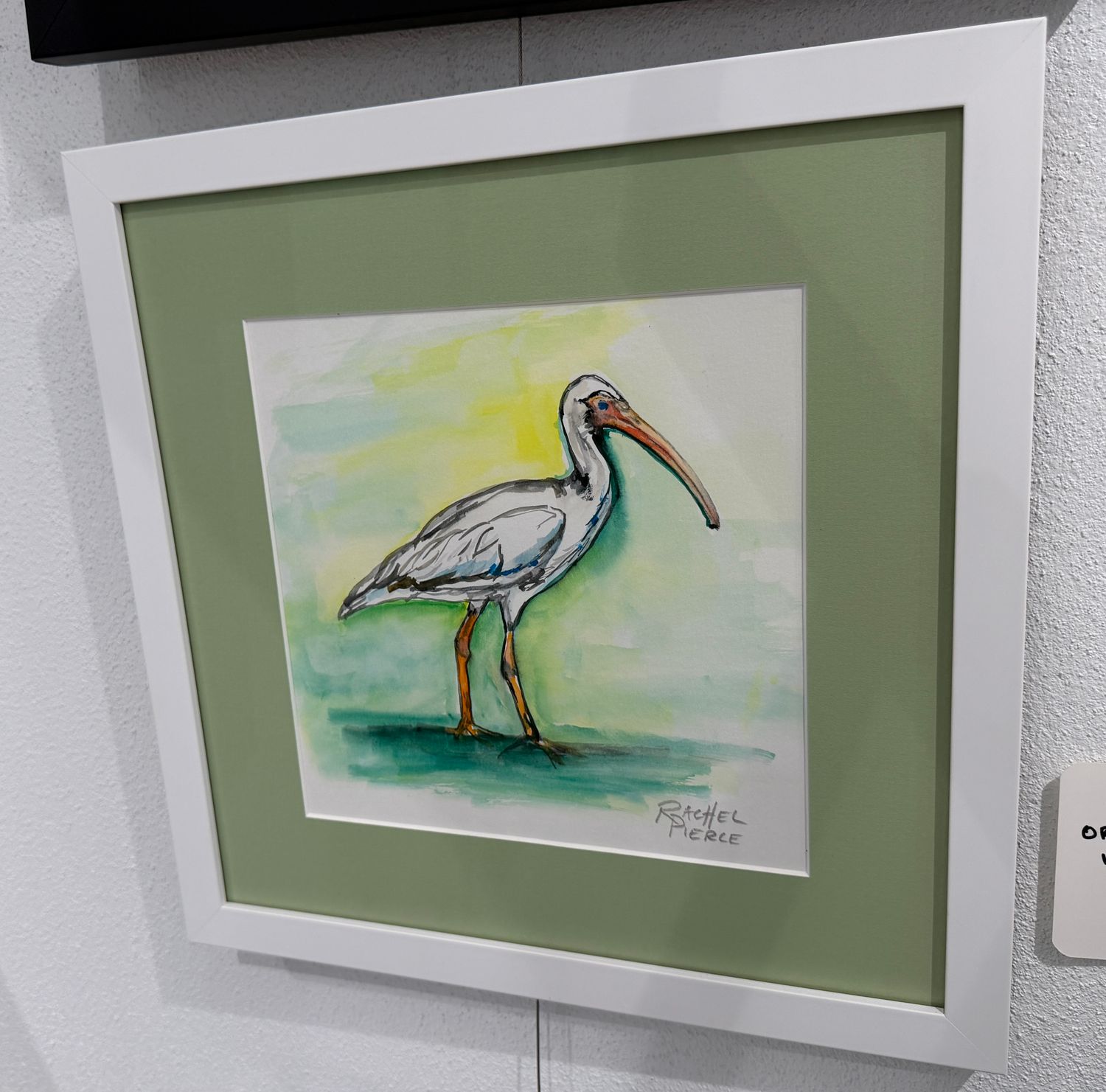 Ibis Original Watercolor