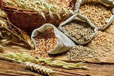 Cereales, Semillas y Derivados Ecológicos