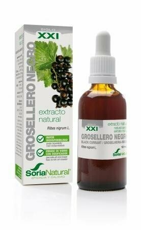 Grosellero Negro Extracto S.XXI Envase de vidrio con dosificador. 50 mL Soria Natural®